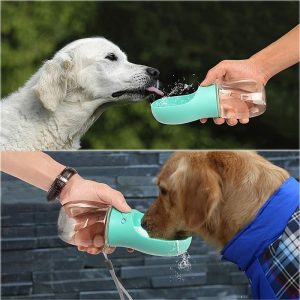 Portable Water Bottle for Dogs