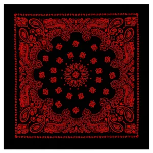 Rothco Trainmen Paisley Bandana - 22" X 22"